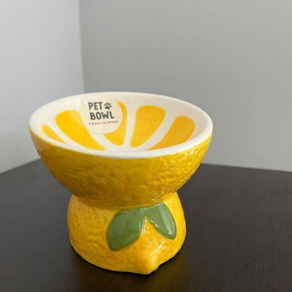 RESERVED FOR @leiaw613 Ceramic Elevated and Tilted Fruit Cat Bowl Set - Picture 4 of 7